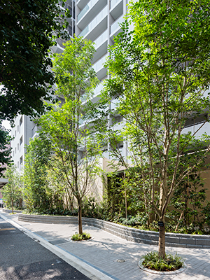 外構｜ザ・パークハウス中野弥生町テラス